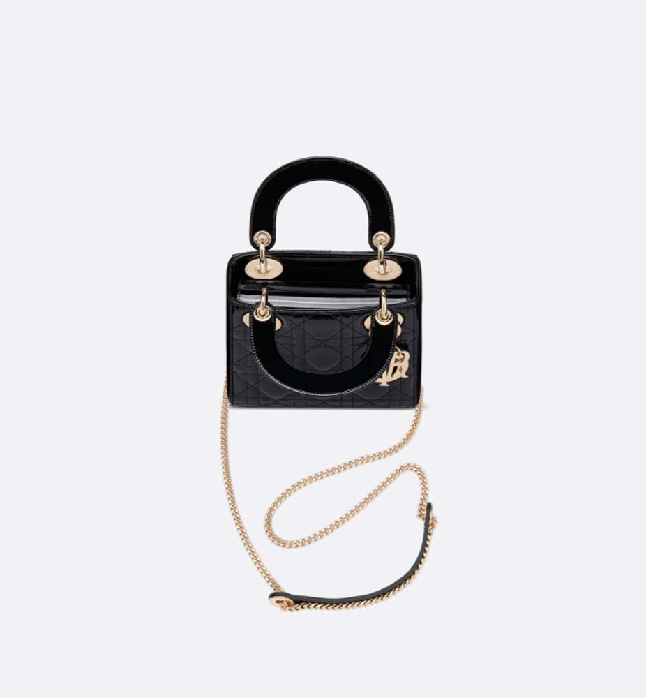 MINI LADY DIOR BAG - LuxuryEva