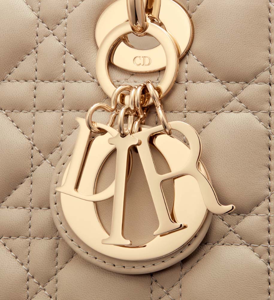 SMALL LADY DIOR BAG - LuxuryEva