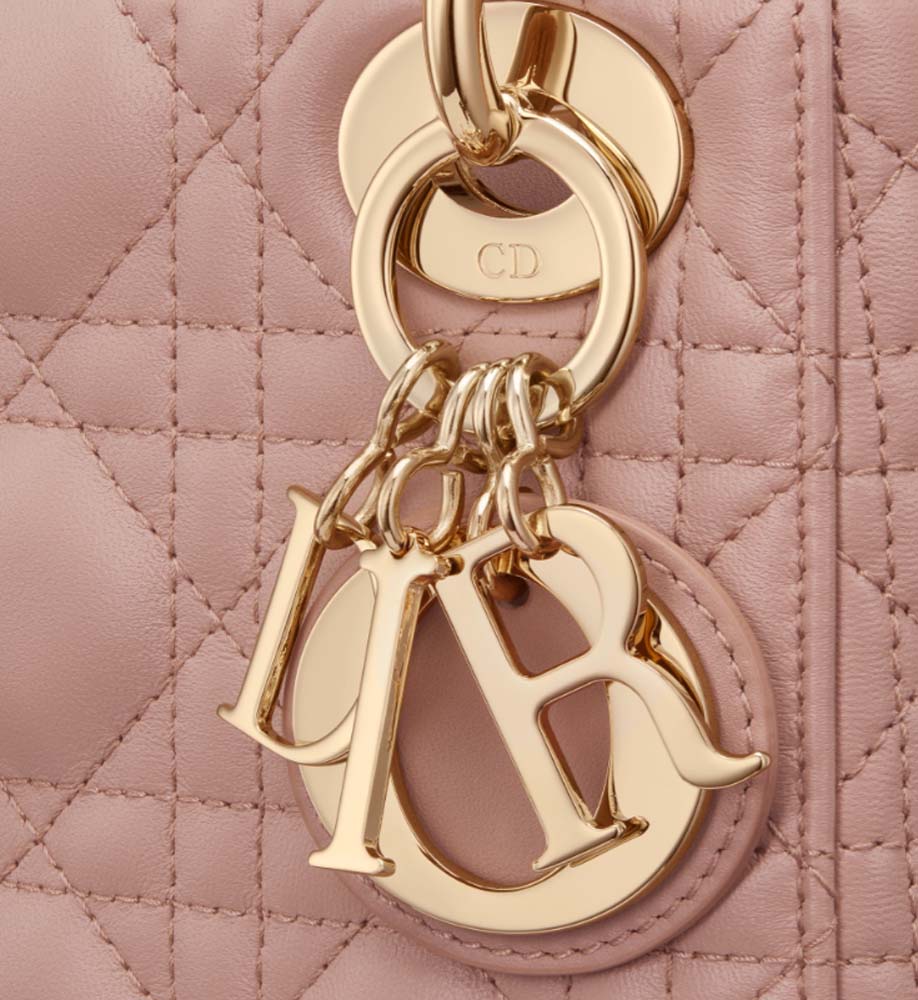 MINI LADY DIOR BAG - LuxuryEva