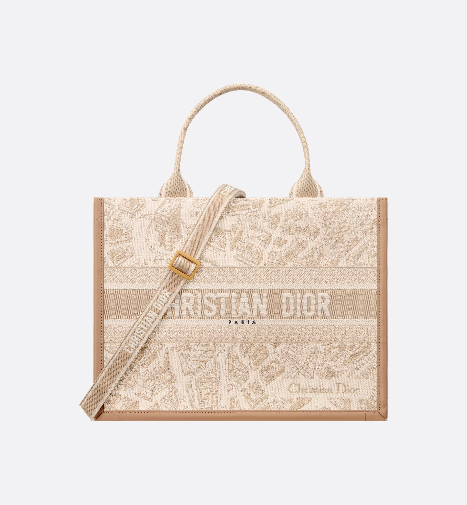 Dior Medium Book Tote Bag - LuxuryEva