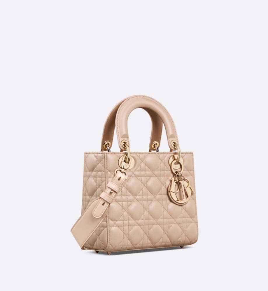 SMALL LADY DIOR BAG - LuxuryEva