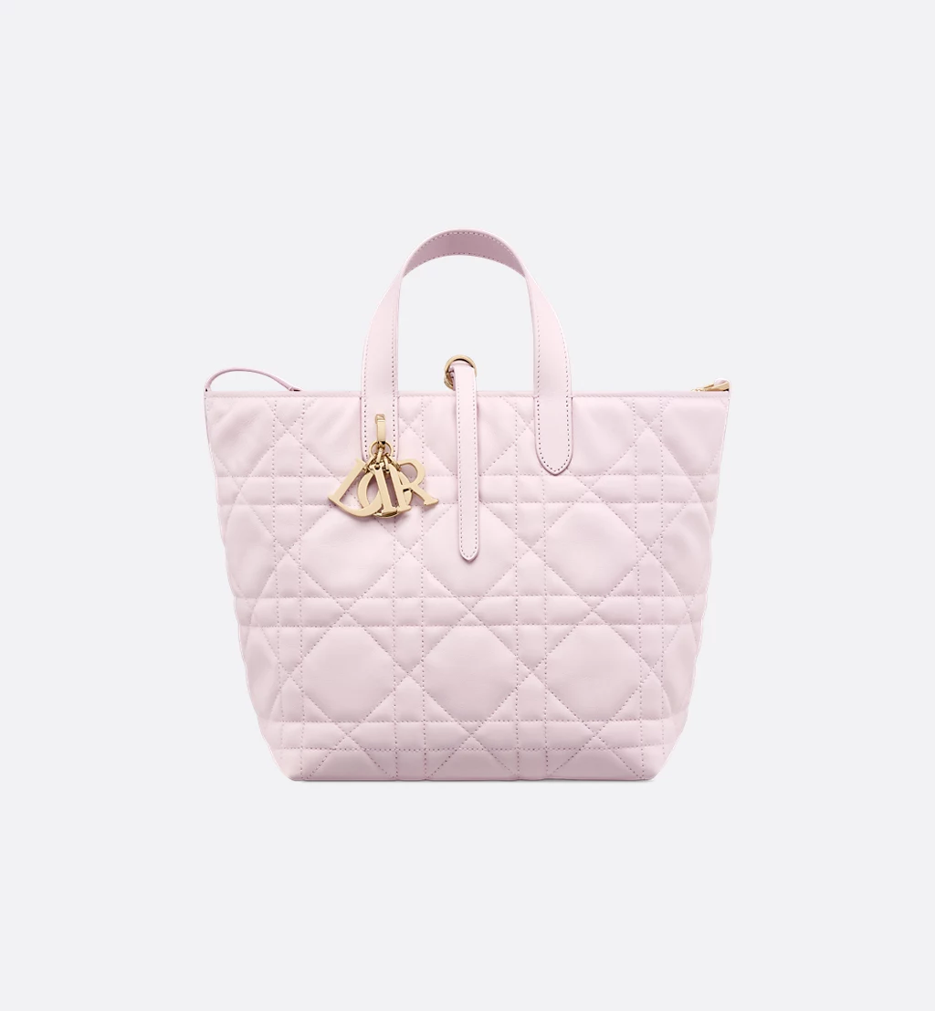 Medium Dior Toujours Vertical Tote Bag - LuxuryEva