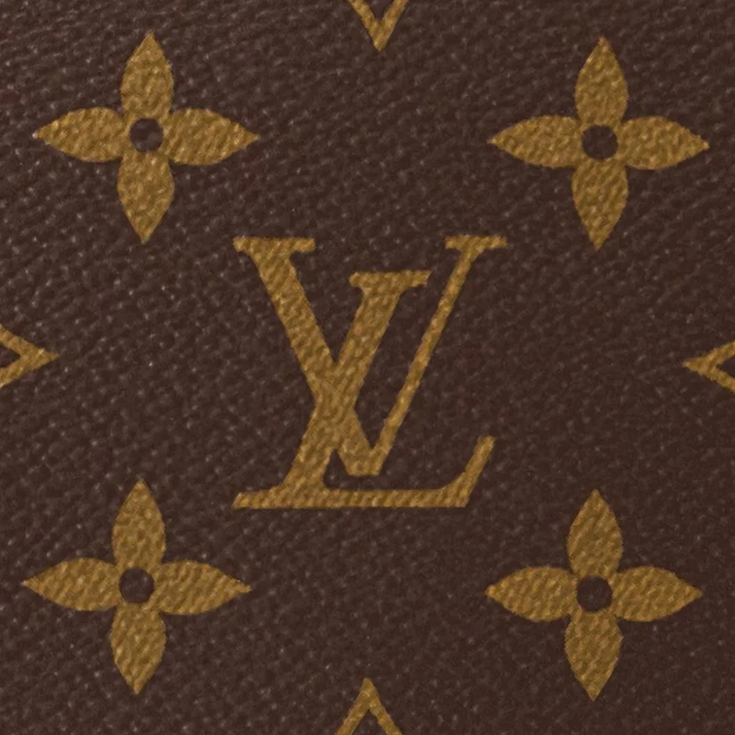 LV Loop Hobo M46311 - LuxuryEva