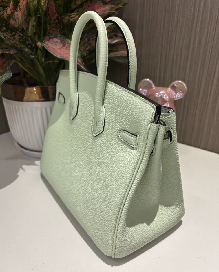 Hermes Birkin Sellier 25 Vert Fizz Epsom Palladium Hardware - LuxuryEva