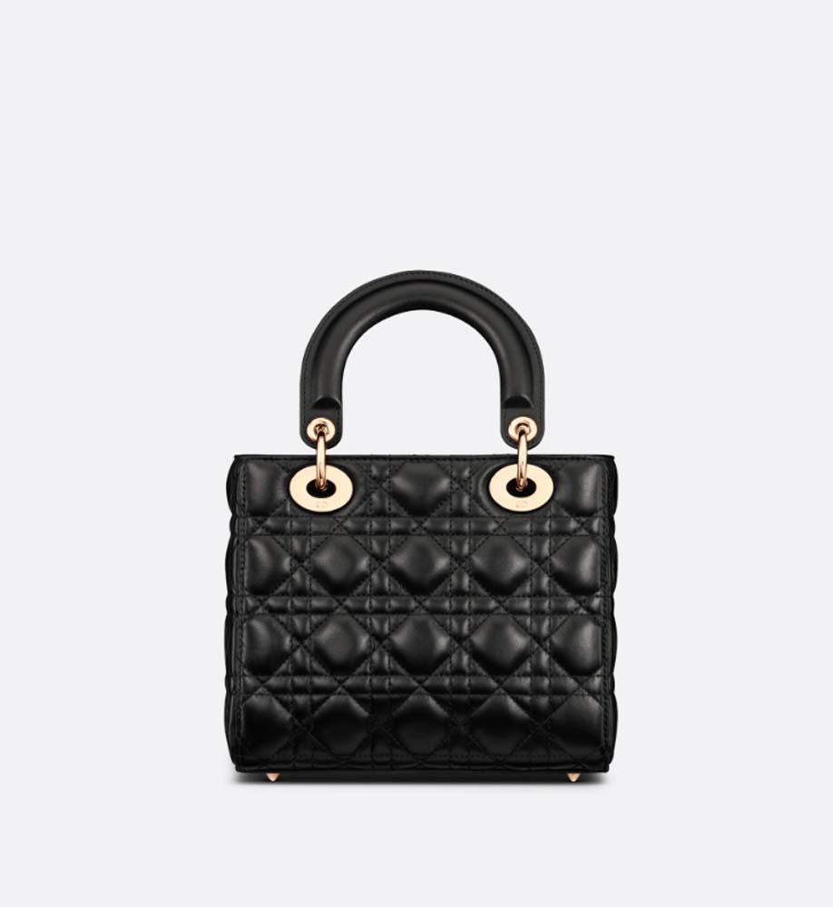 SMALL LADY DIOR BAG - LuxuryEva